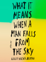 What_it_means_when_a_man_falls_from_the_sky
